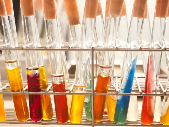 Grade bioquímica para identificação de Bacillus subtilis