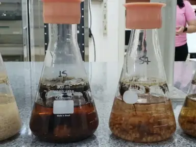 Preparo de suspensão microbiana