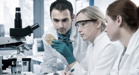 Cell cycle analysis & diagnostics